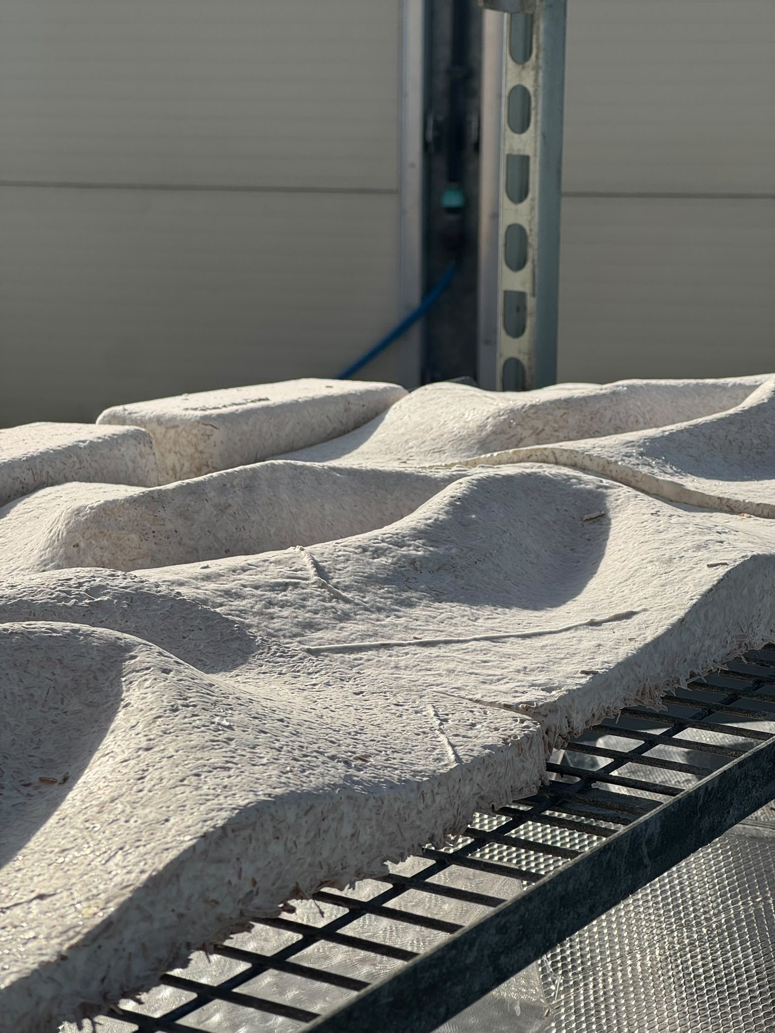 Freshly grown FOLD panels drying on a rack in the NUMU lab, Dubai