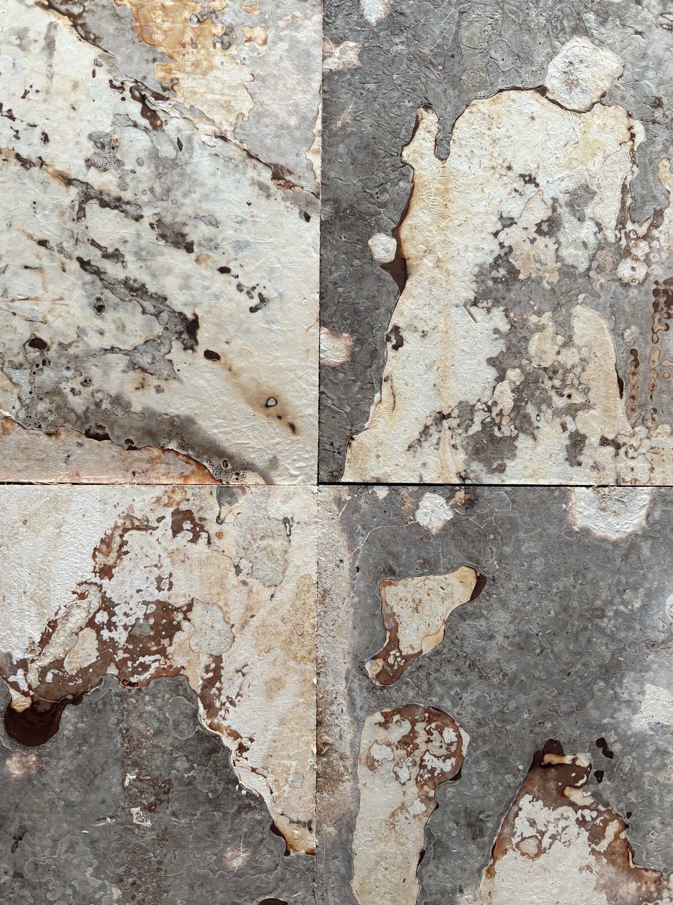 Grown veneer plates, material photograph